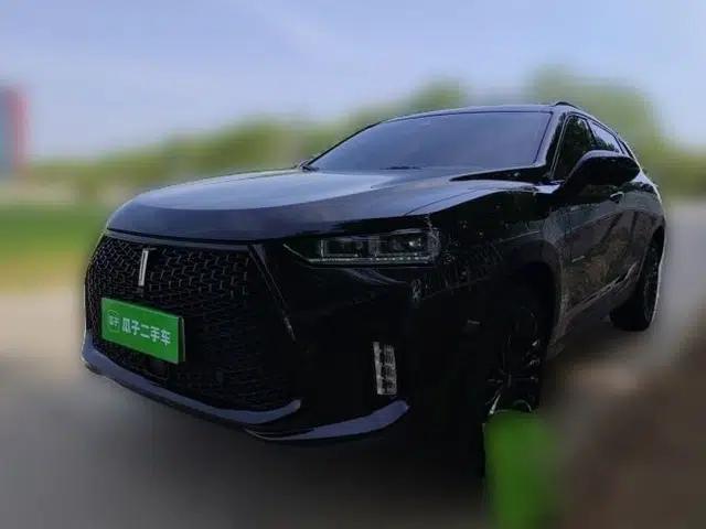 Wey P8 2018 2.0T Flagship Model