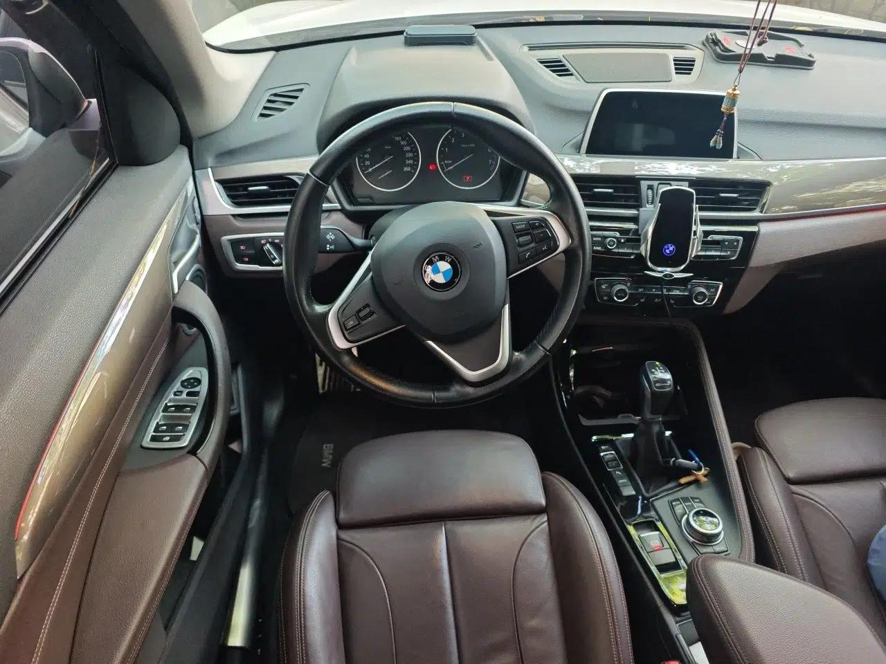BMW X1 New Energy 2018 xDrive25Le Luxury Model — миниатюра 11