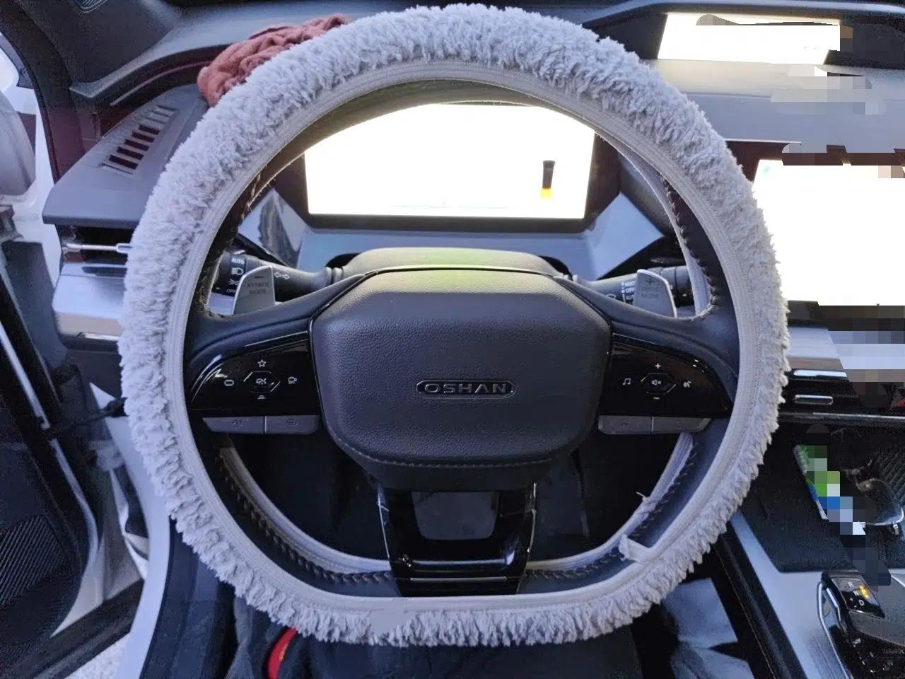 CHANGAN OSHAN Z6 New Energy 2023 ZhiDian iDD 150KM Flagship PLUS — миниатюра 11