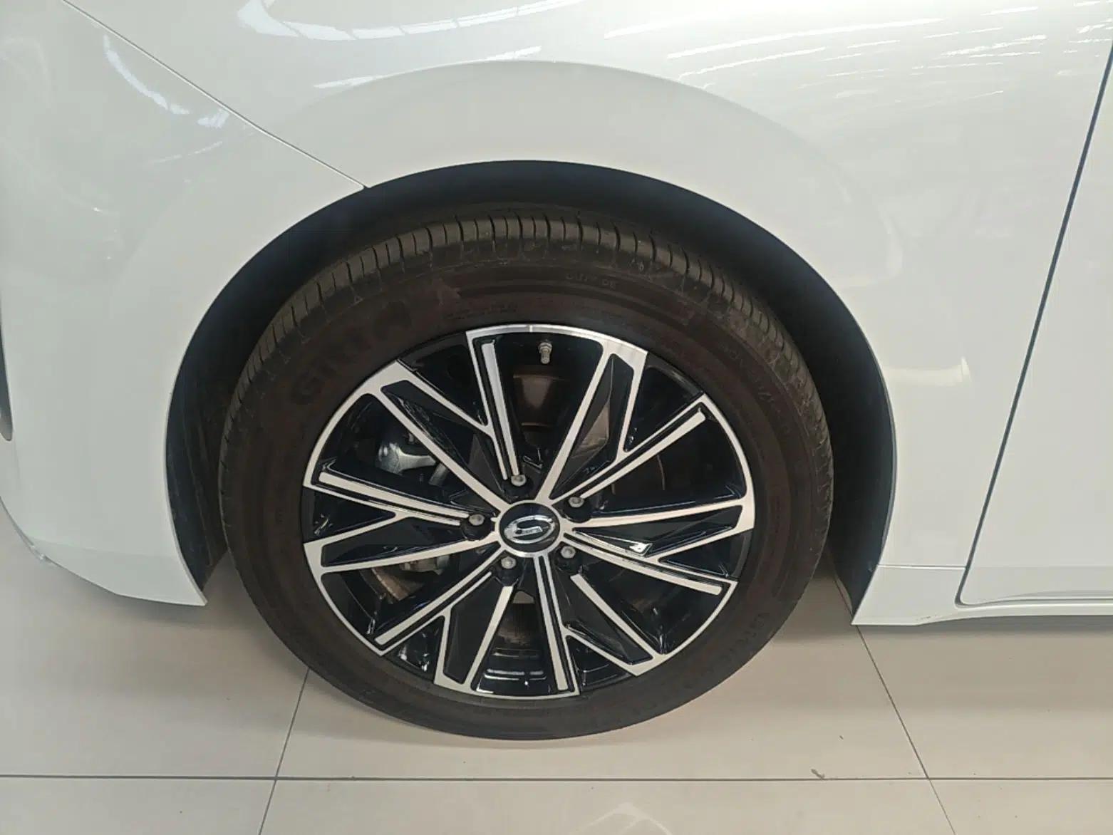 GAC Trumpchi E8 2024 Honor Series 2.0L Honor Edition — миниатюра 8