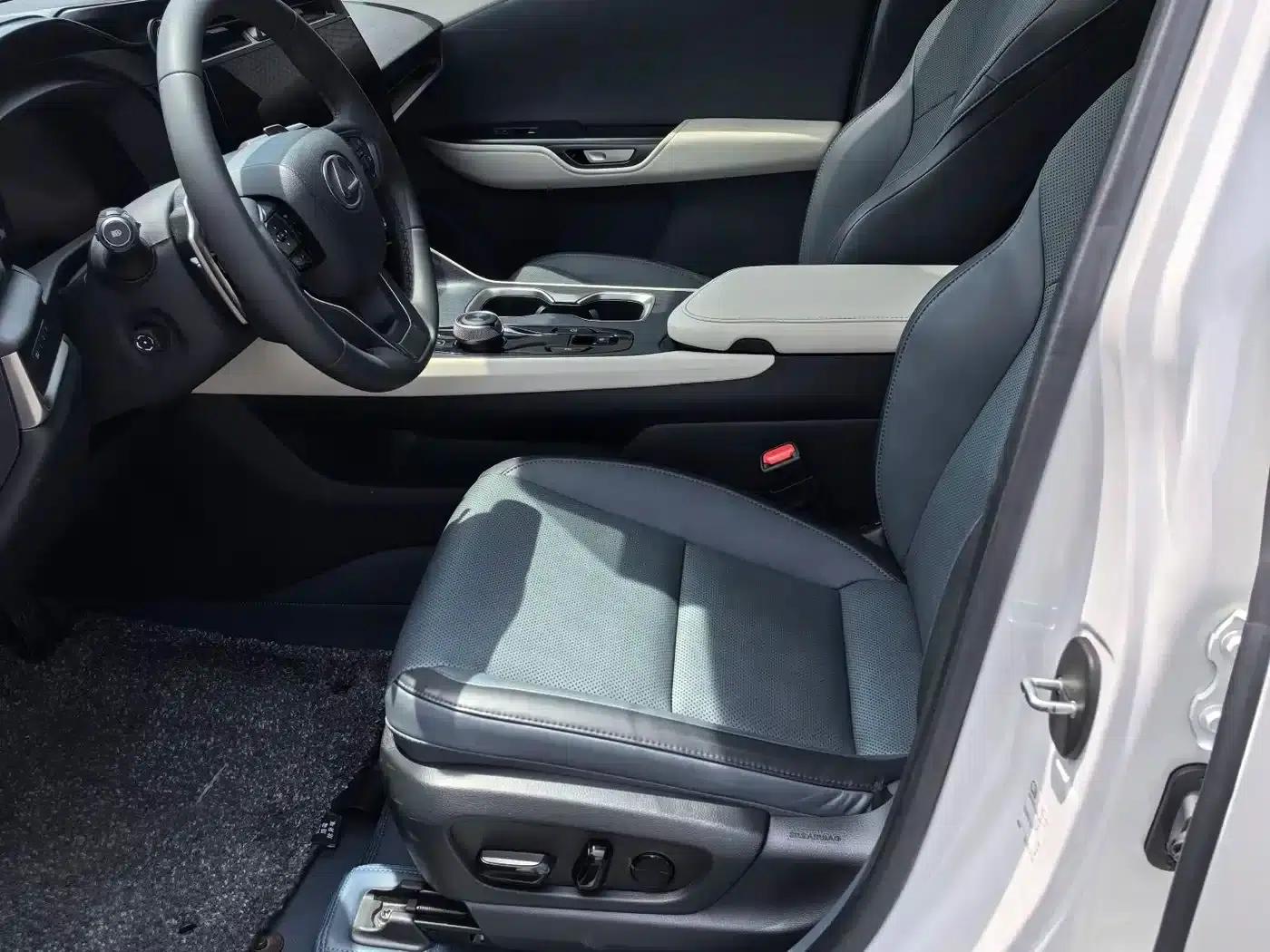 Lexus RZ 2023 450e AWD Luxury Edition — миниатюра 11