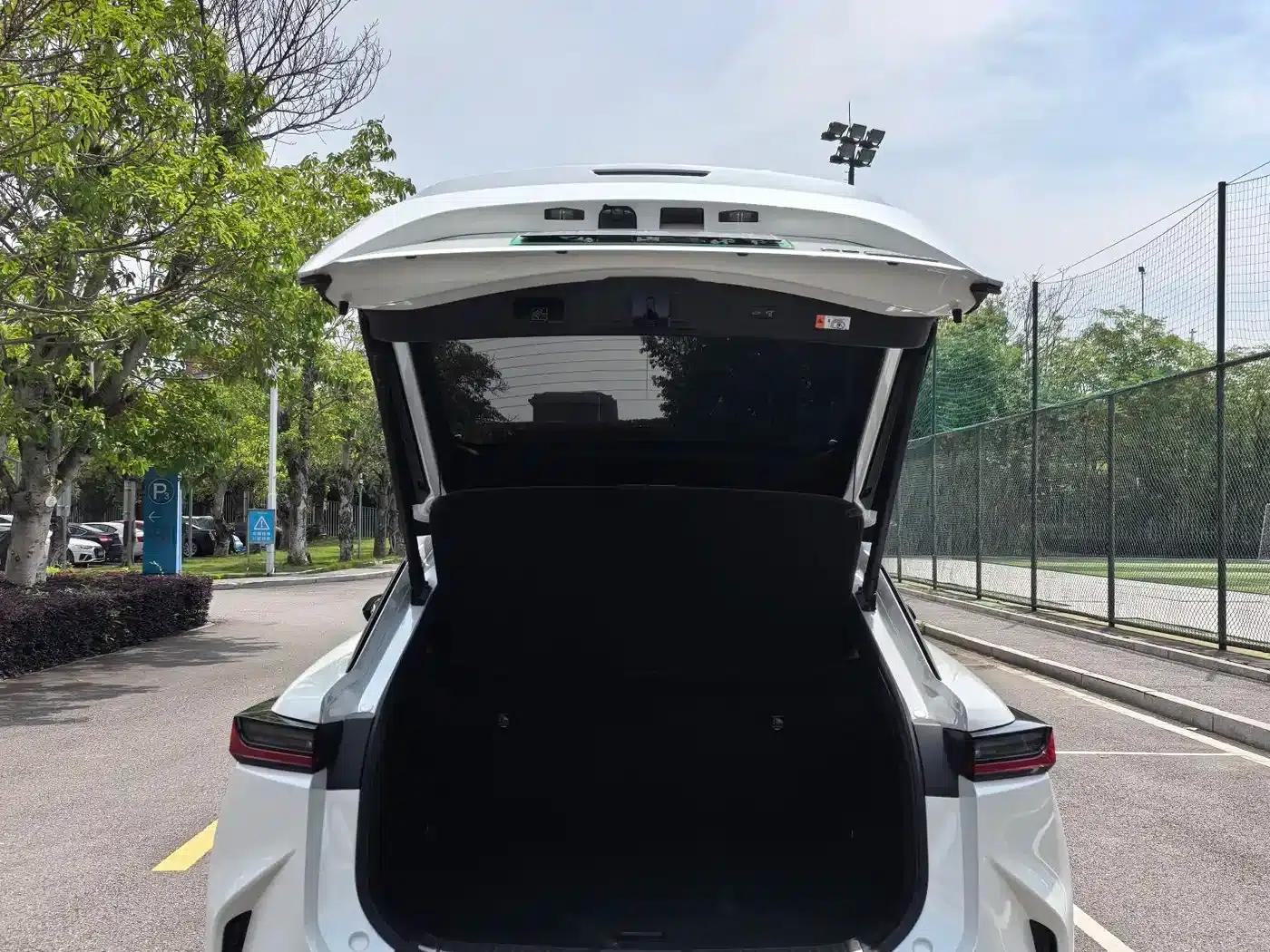 Lexus RZ 2023 450e AWD Luxury Edition — миниатюра 9