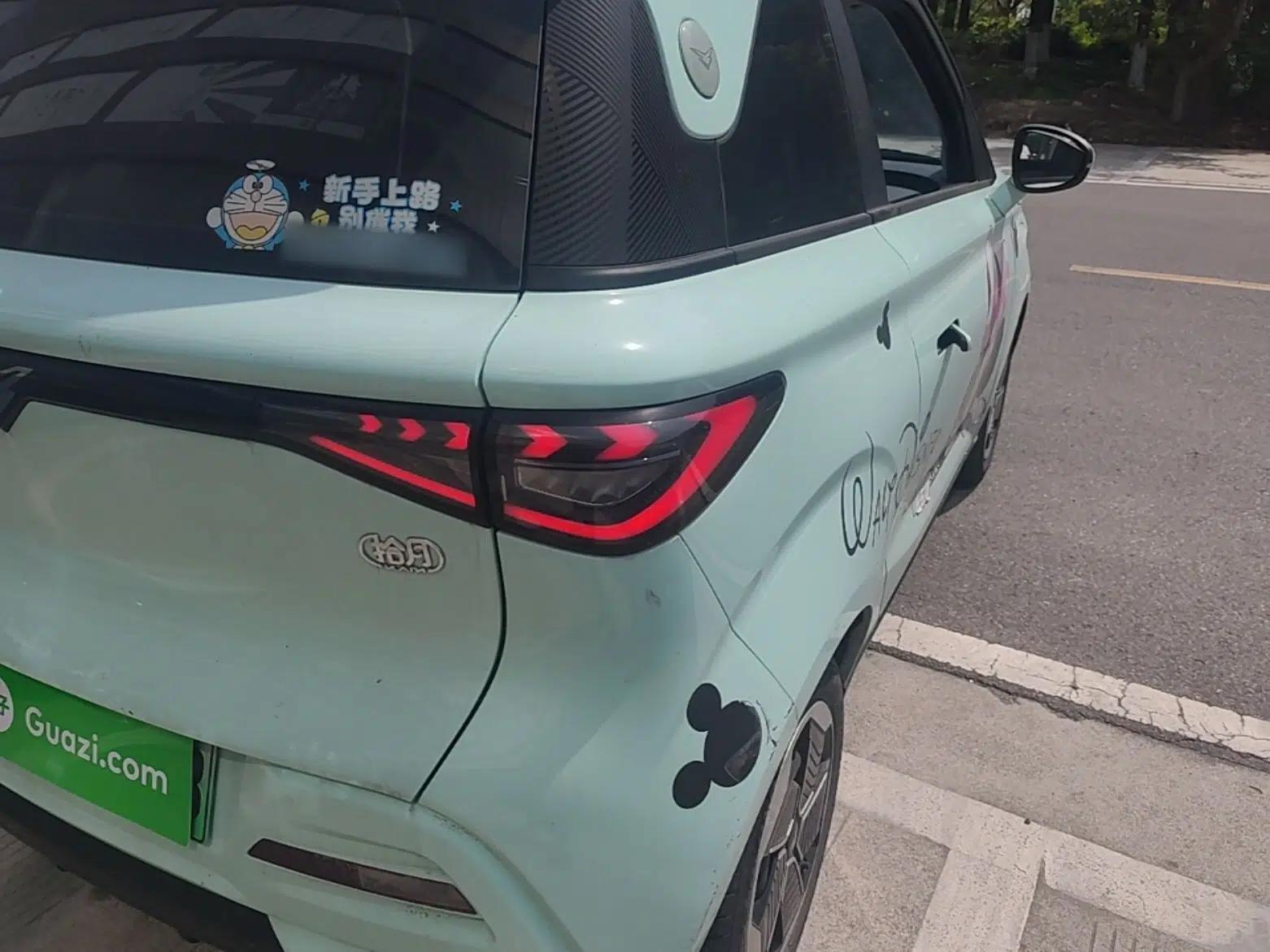 Cowin October 2023 301km Zhi Feng Edition — миниатюра 8