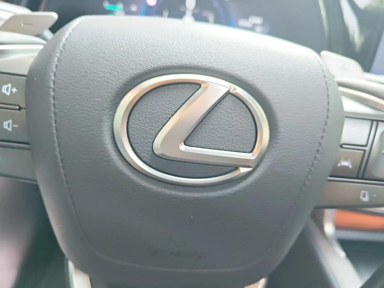 Lexus RX New Energy 2025 450h+ Four-Wheel Drive Comfort Edition — миниатюра 9