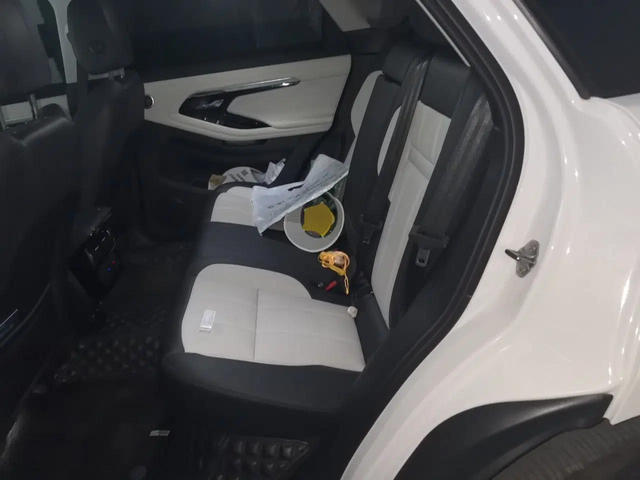 Land Rover Range Evoque New Energy 2021 Aurora L P300e Luxury Edition — миниатюра 18