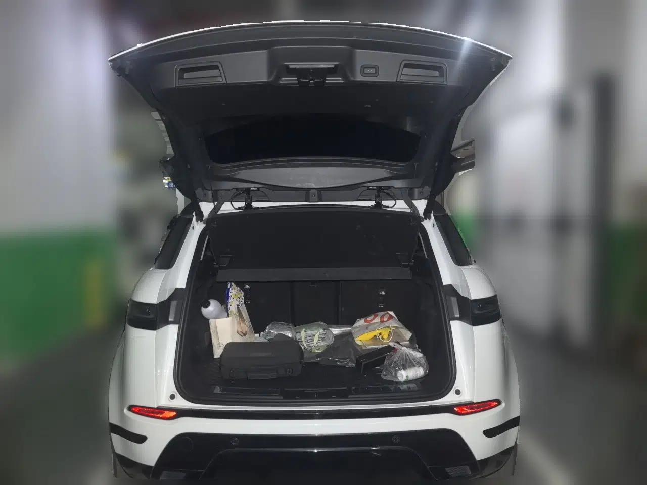 Land Rover Range Evoque New Energy 2021 Aurora L P300e Luxury Edition — миниатюра 20