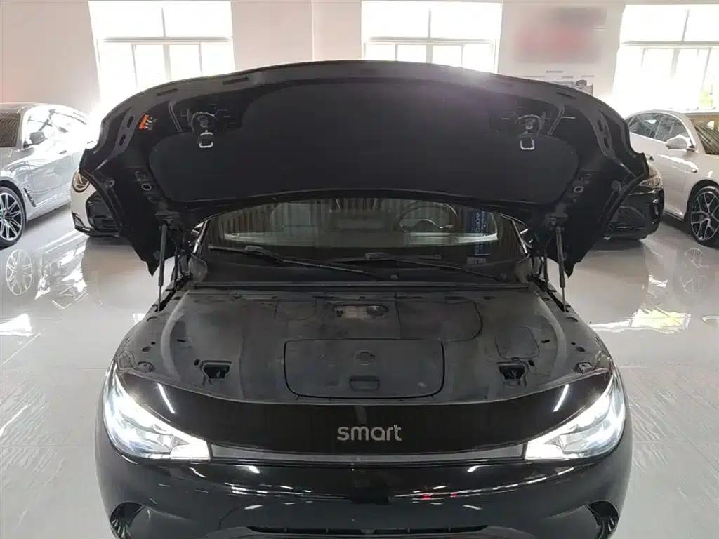 Smart Sprite #3 2023 Pro+ Edition — миниатюра 20