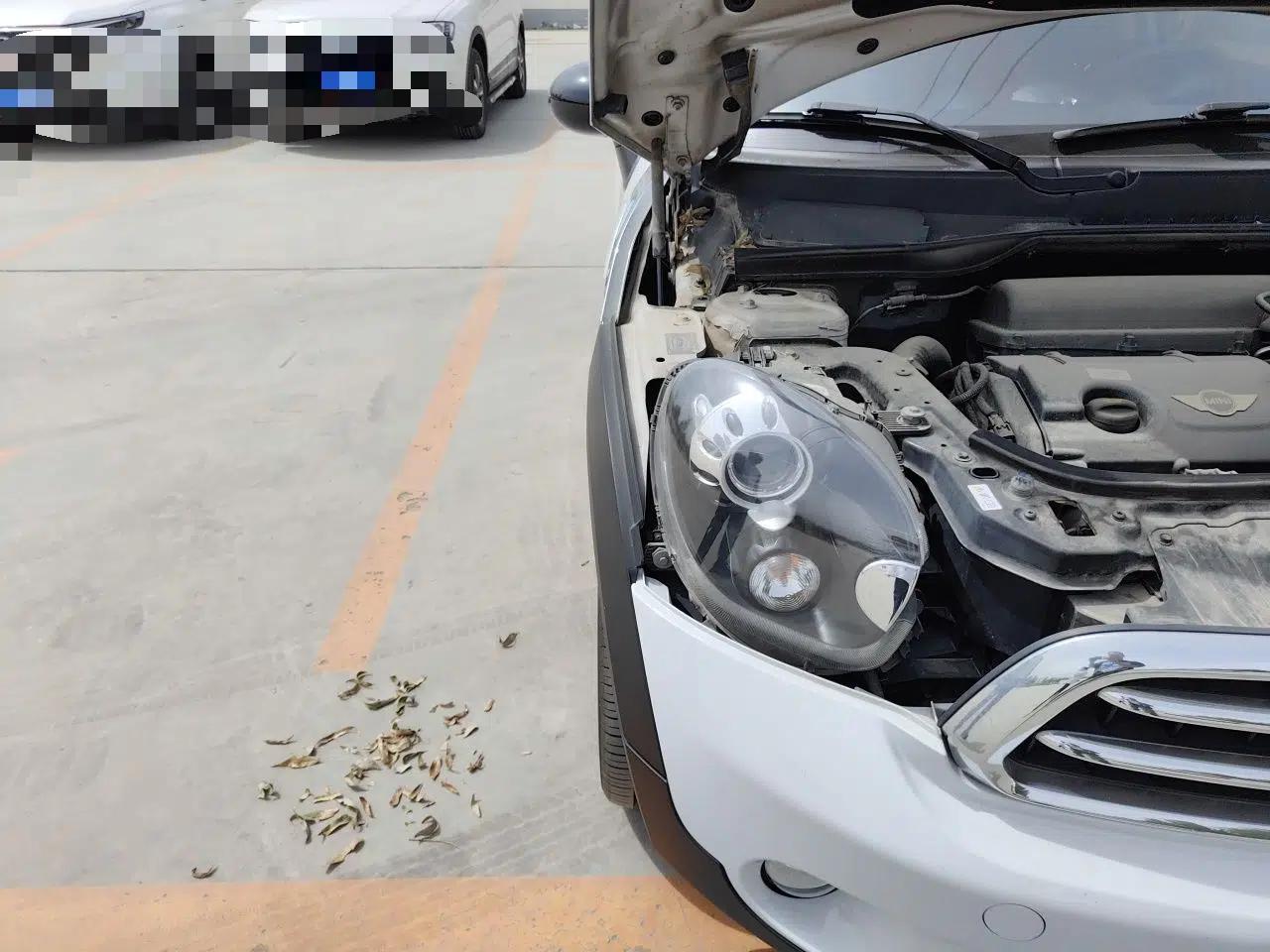 MINI Paceman 2014 1.6T COOPER ALL4 — миниатюра 7