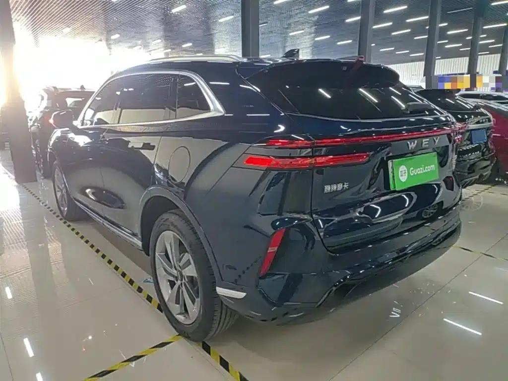 Weipai Mocha New Energy 2024 Hi4 Long Range Edition — миниатюра 5