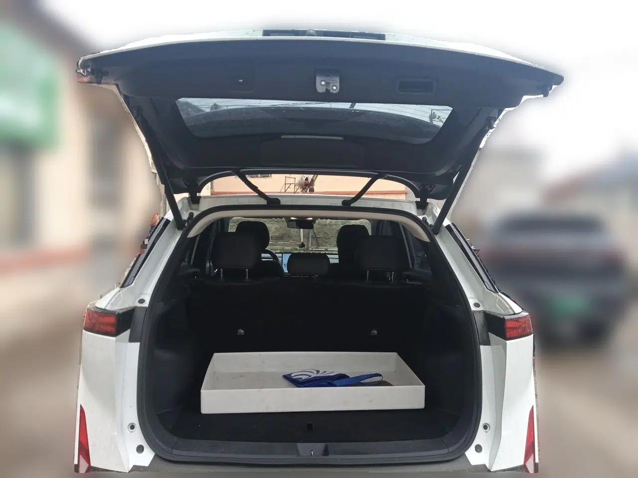 Venucia VX6 2023 520 Max — миниатюра 20