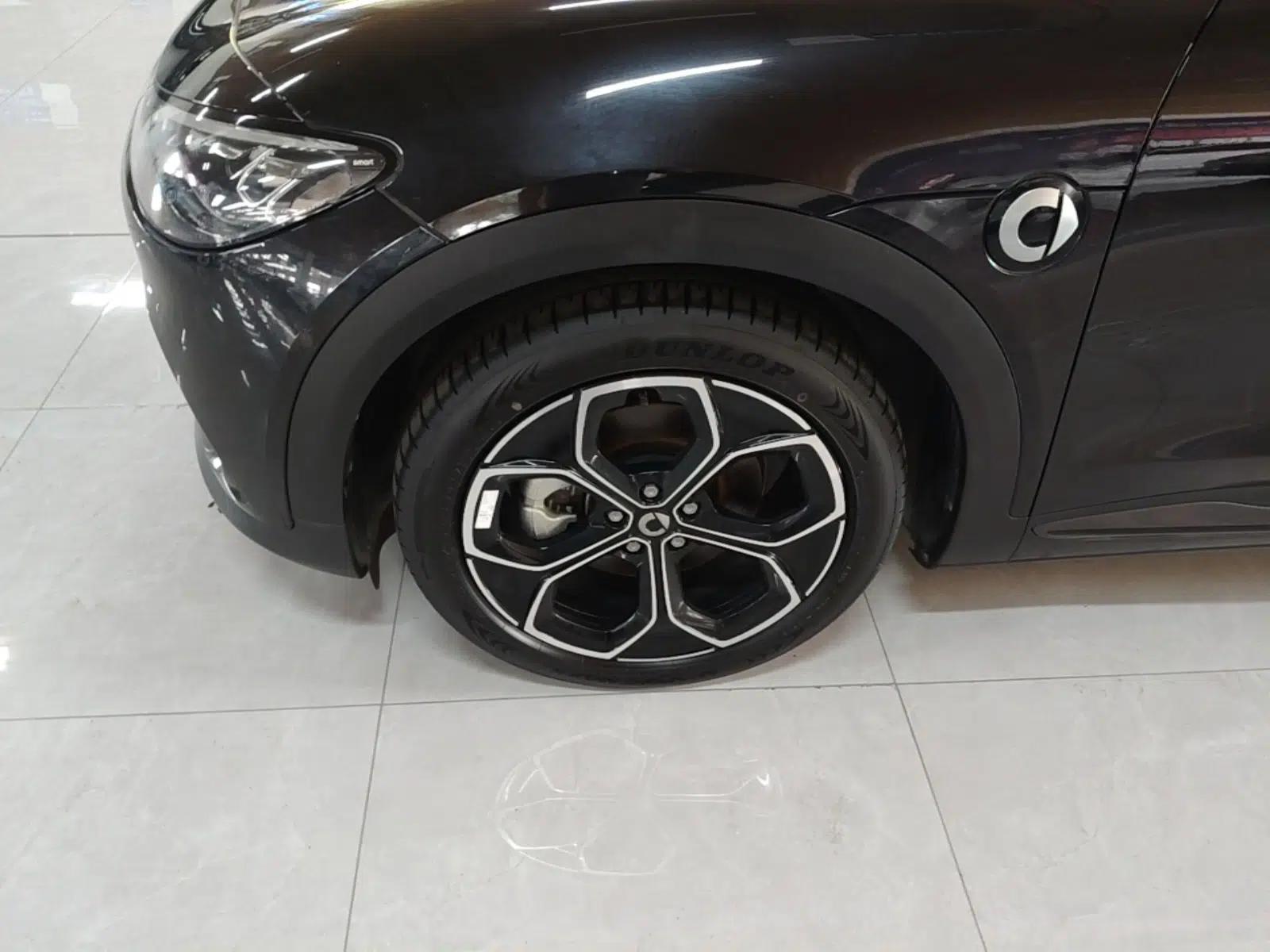 smart #3 2023 Pro+ Edition — миниатюра 8