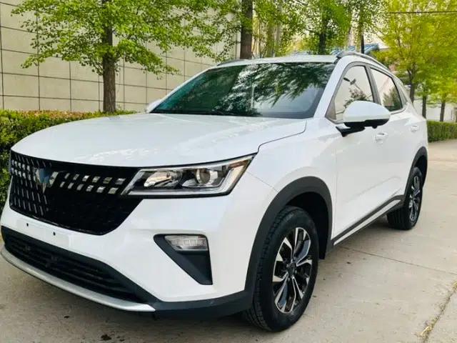 Wuling Alvez 2022 1.5L Manual Free-Style Model