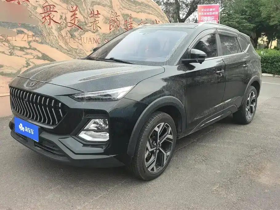Sihao X8 2021 300T DCT Luxury Intelligent Connected Edition 6-seater — миниатюра 1