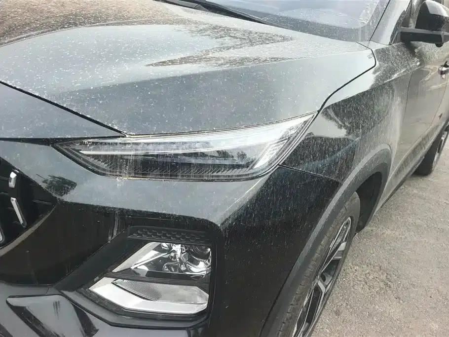 Sihao X8 2021 300T DCT Luxury Intelligent Connected Edition 6-seater — миниатюра 5
