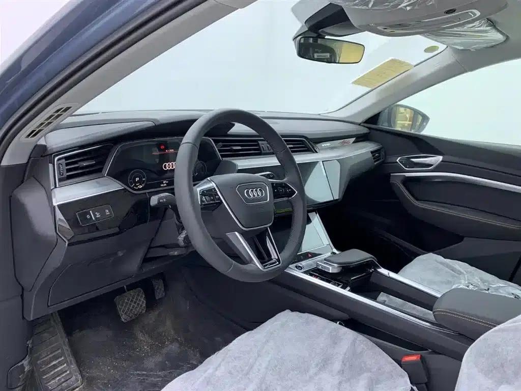 Audi e-tron 2021 50 quattro Luxury — миниатюра 15