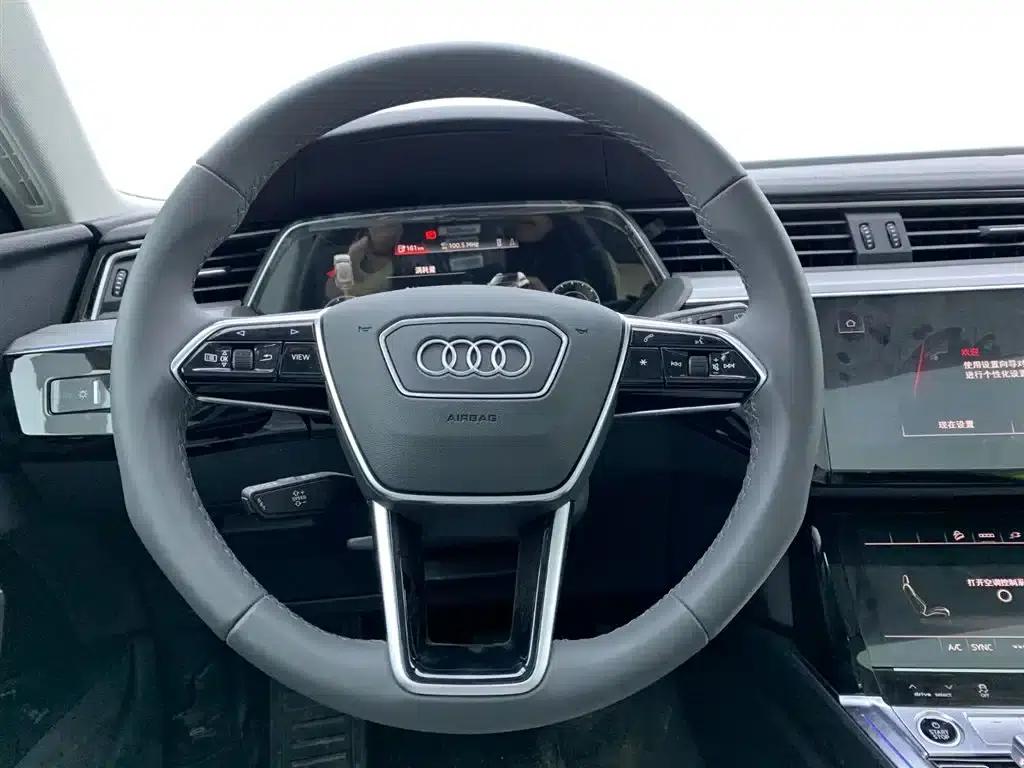 Audi e-tron 2021 50 quattro Luxury — миниатюра 21