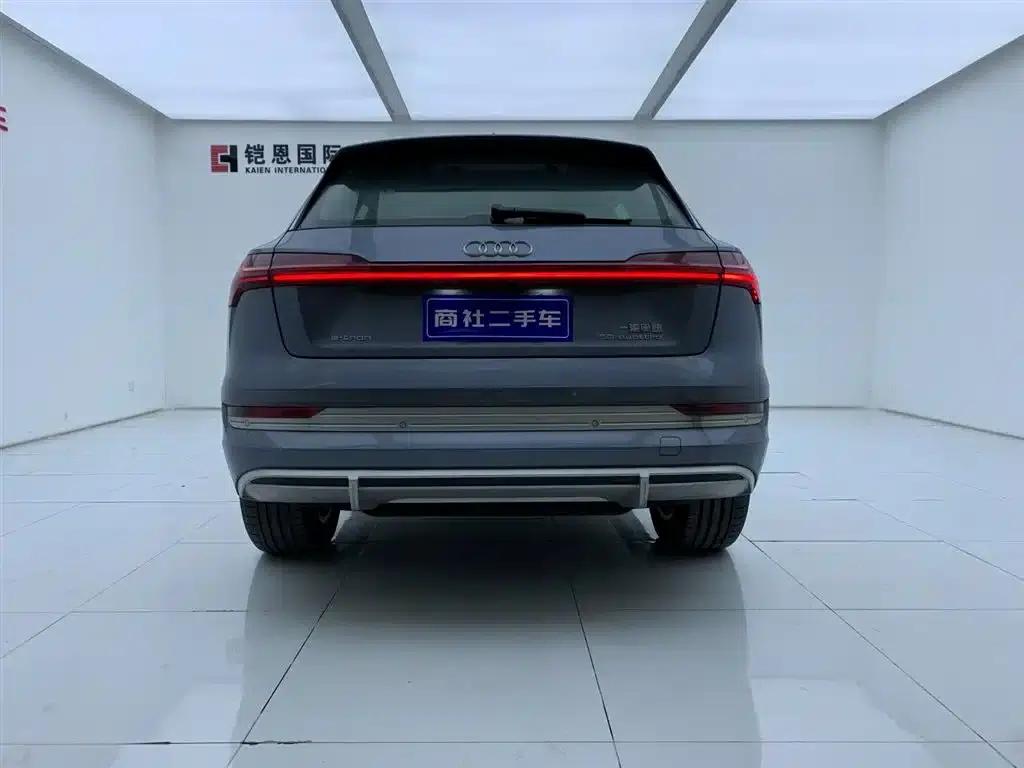 Audi e-tron 2021 50 quattro Luxury — миниатюра 4
