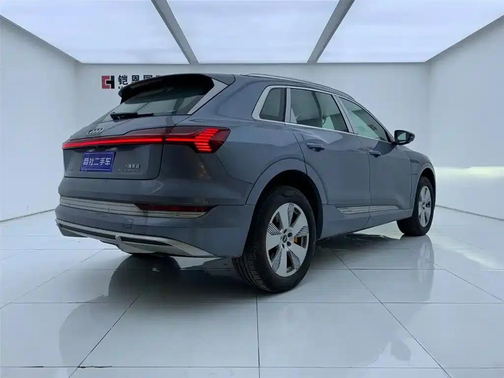 Audi e-tron 2021 50 quattro Luxury — миниатюра 5