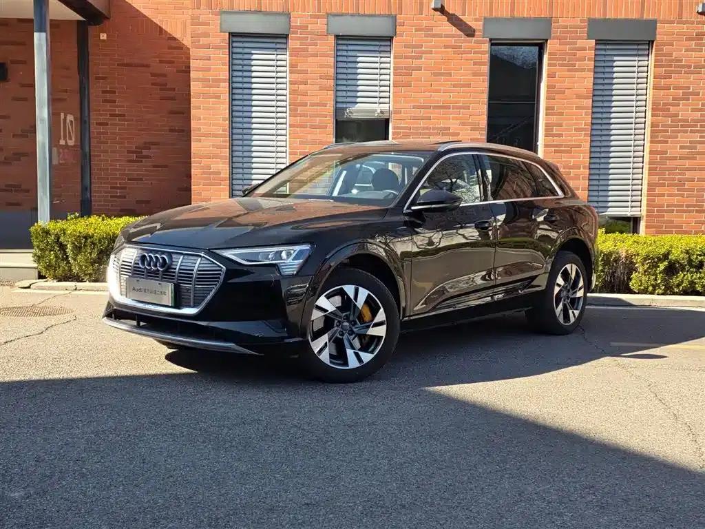 2019 Audi e-tron Imported Model 55 quattro Fashion Edition — миниатюра 1