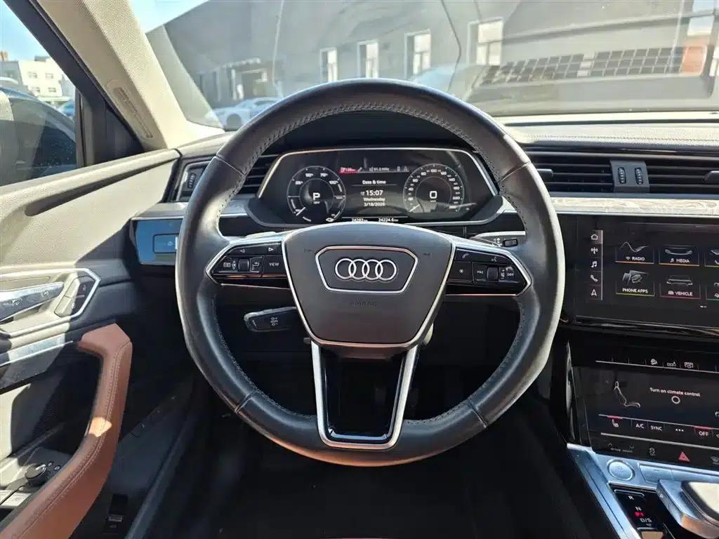 2019 Audi e-tron Imported Model 55 quattro Fashion Edition — миниатюра 5