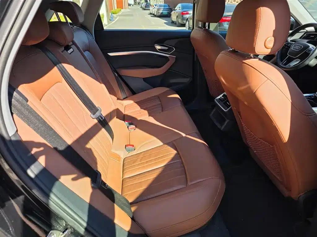 2019 Audi e-tron Imported Model 55 quattro Fashion Edition — миниатюра 9
