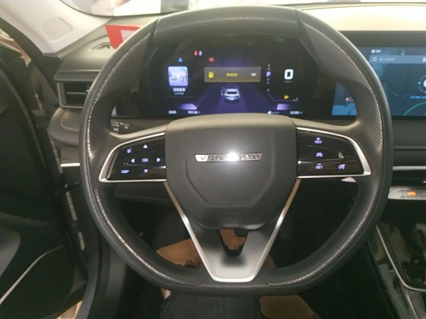 Venucia V 2021 260T Idol Edition — миниатюра 14