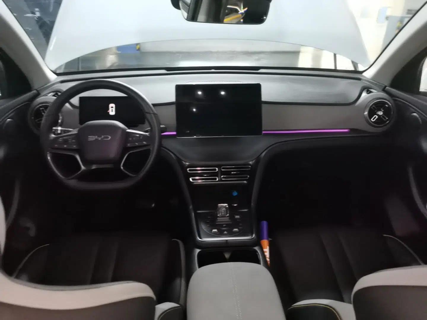 BYD Sealion 05 DM-i 2025 DM-i Intelligent Driving 75KM Prestige Model — миниатюра 13