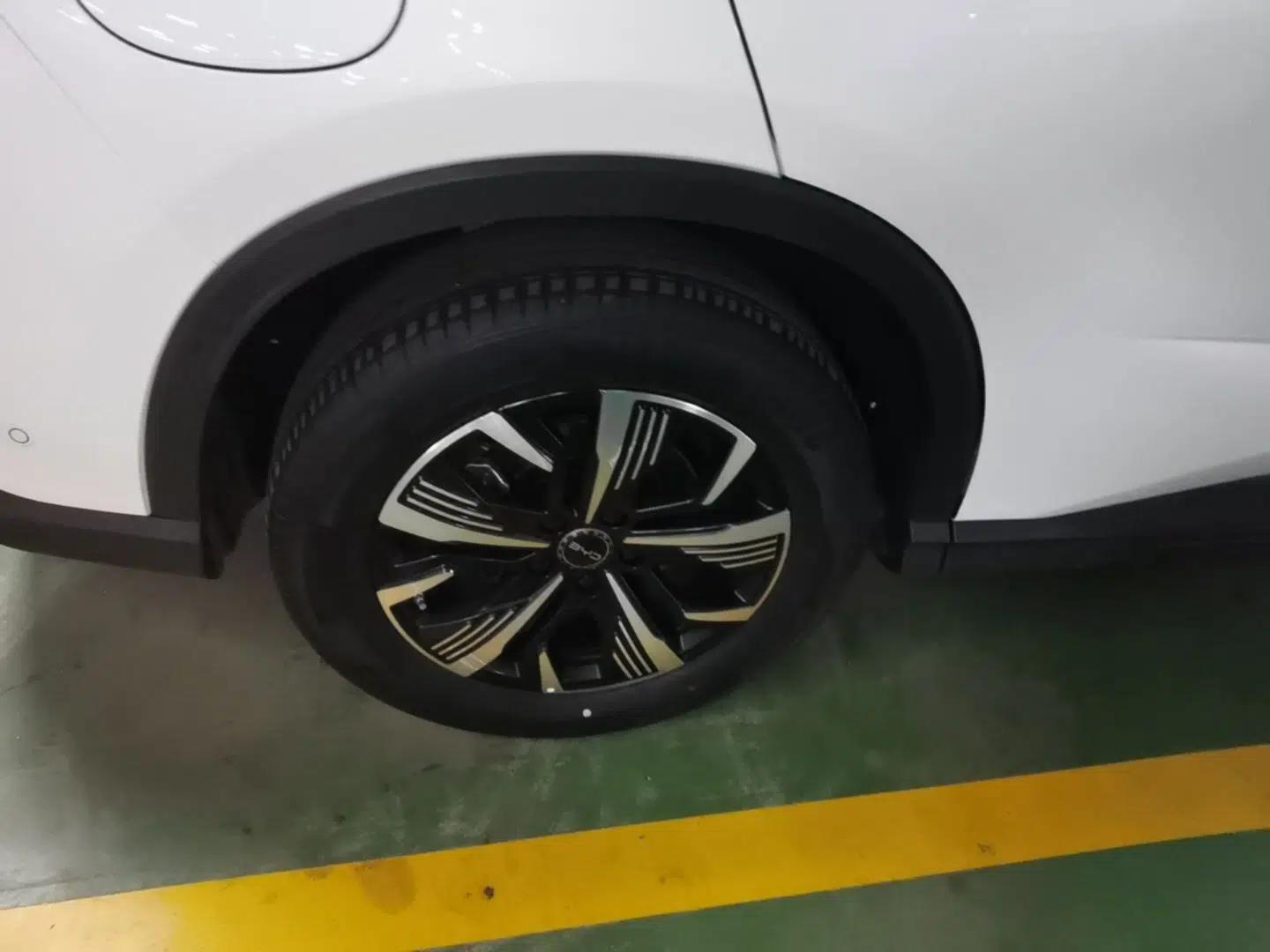 BYD Sealion 05 DM-i 2025 DM-i Intelligent Driving 75KM Prestige Model — миниатюра 10