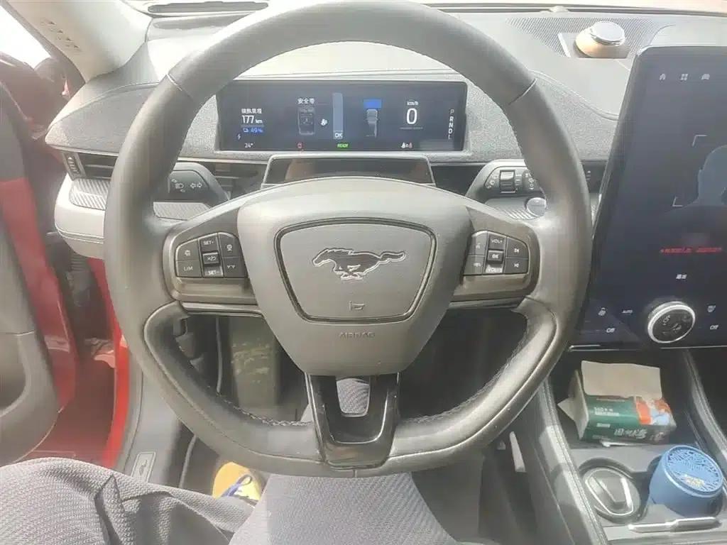 Ford e31 2021 Model X Unlimited Rear-Wheel Drive Luxury Edition Long Range — миниатюра 11