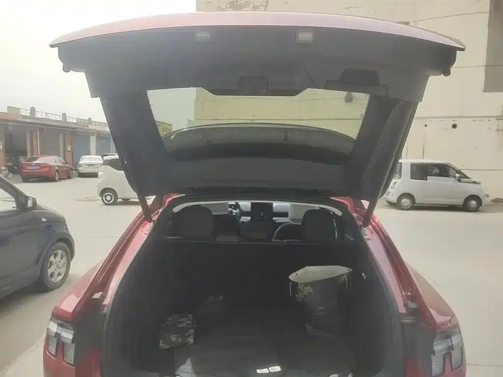 Ford e31 2021 Model X Unlimited Rear-Wheel Drive Luxury Edition Long Range — миниатюра 19