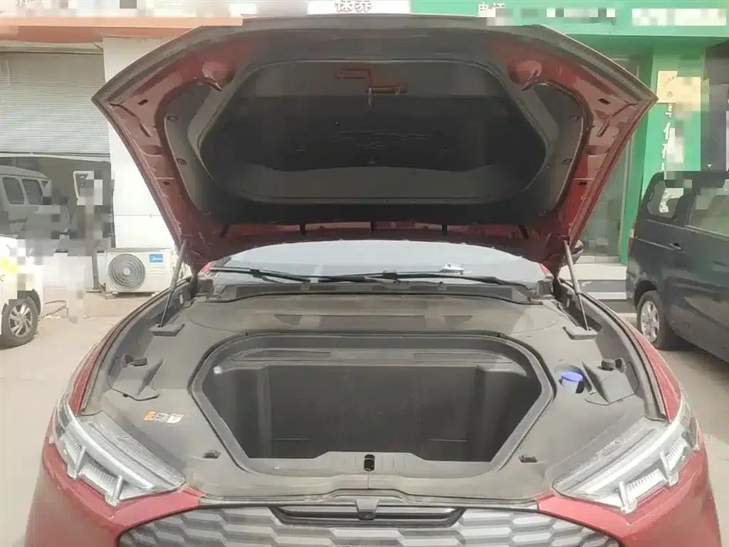 Ford e31 2021 Model X Unlimited Rear-Wheel Drive Luxury Edition Long Range — миниатюра 20