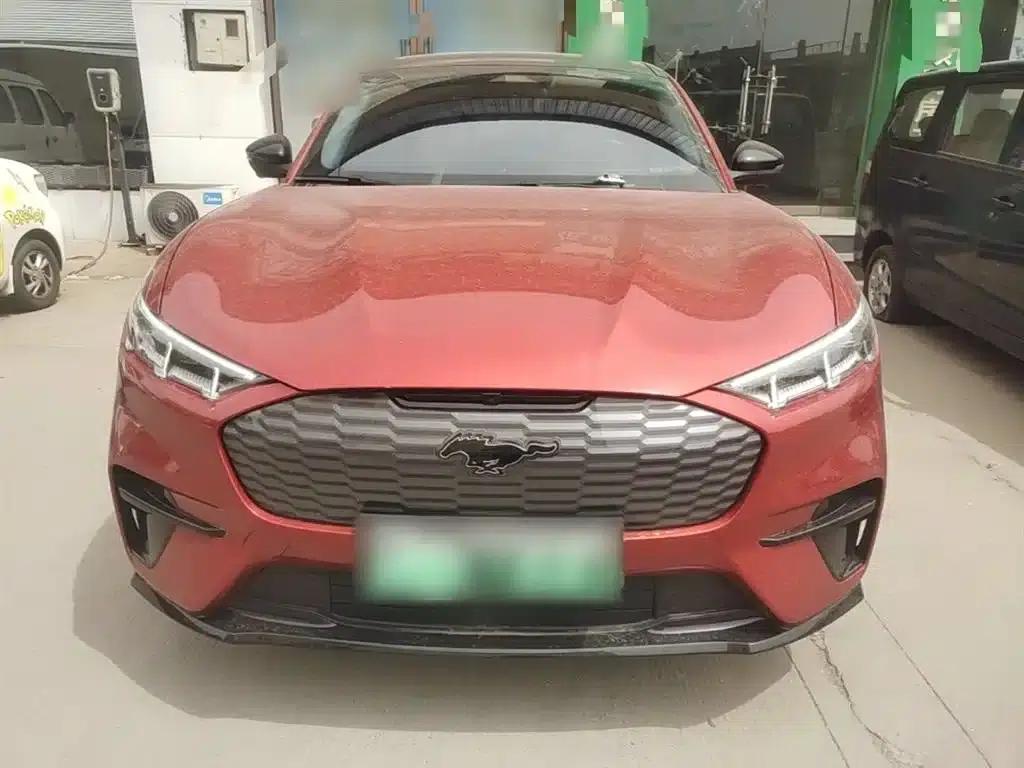 Ford e31 2021 Model X Unlimited Rear-Wheel Drive Luxury Edition Long Range — миниатюра 3