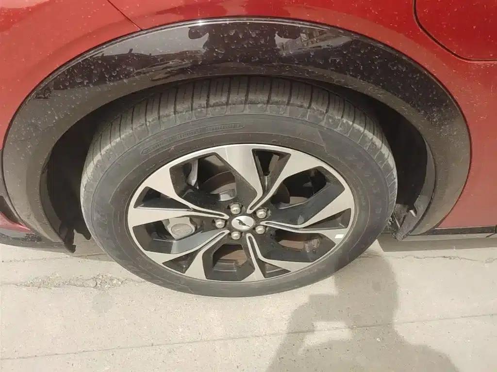 Ford e31 2021 Model X Unlimited Rear-Wheel Drive Luxury Edition Long Range — миниатюра 23