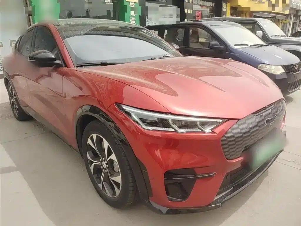 Ford e31 2021 Model X Unlimited Rear-Wheel Drive Luxury Edition Long Range — миниатюра 4