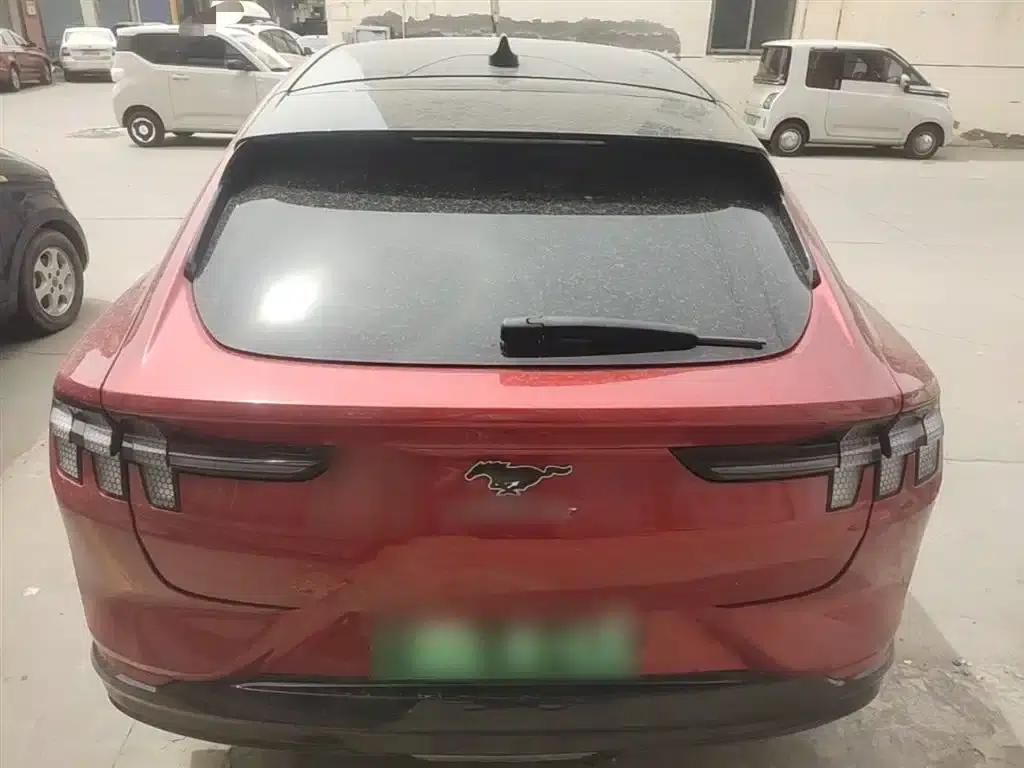 Ford e31 2021 Model X Unlimited Rear-Wheel Drive Luxury Edition Long Range — миниатюра 6