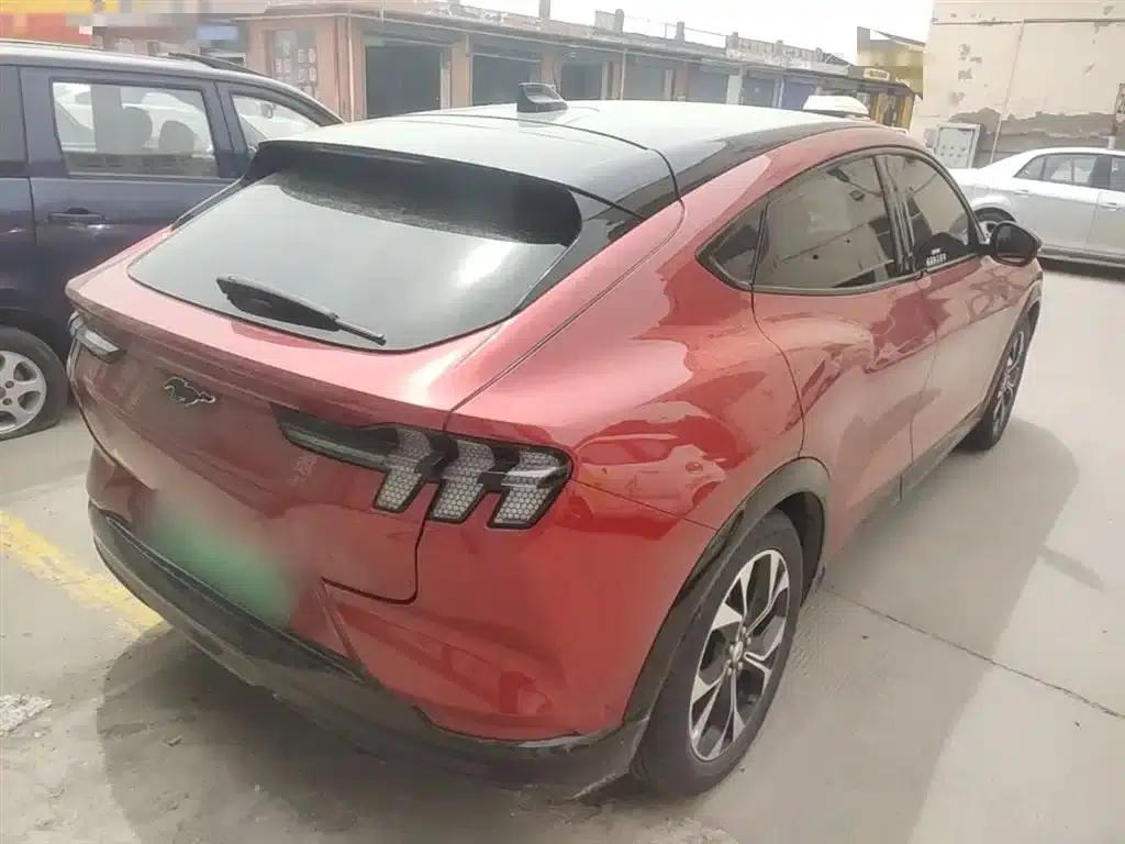 Ford e31 2021 Model X Unlimited Rear-Wheel Drive Luxury Edition Long Range — миниатюра 7