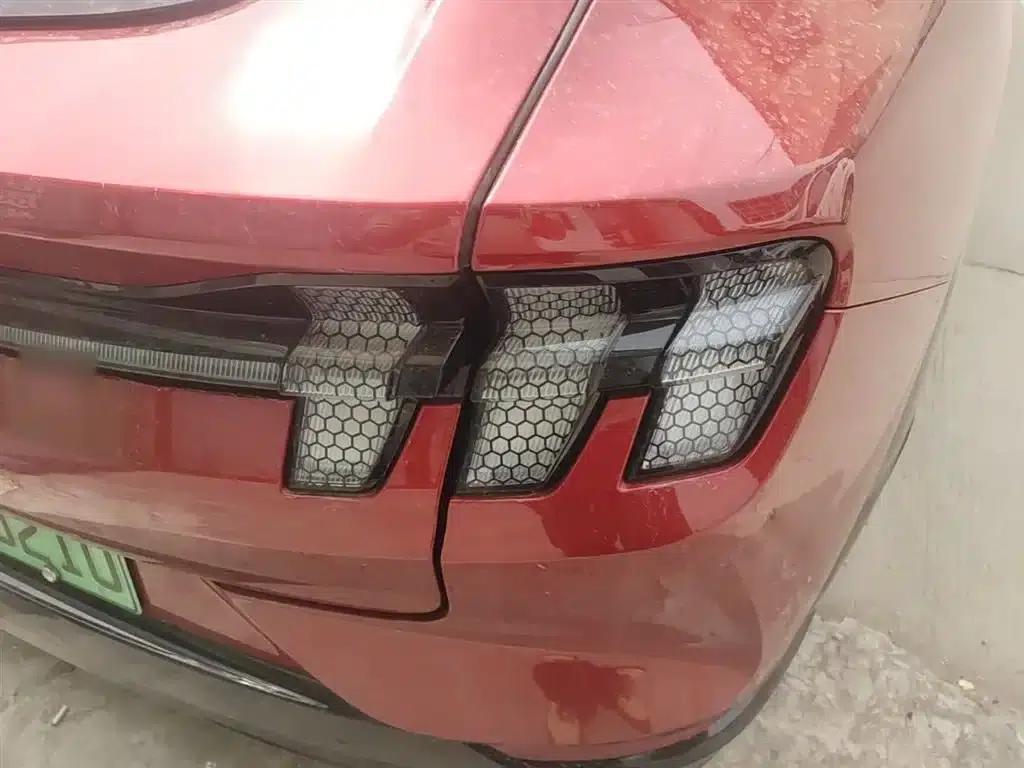 Ford e31 2021 Model X Unlimited Rear-Wheel Drive Luxury Edition Long Range — миниатюра 8