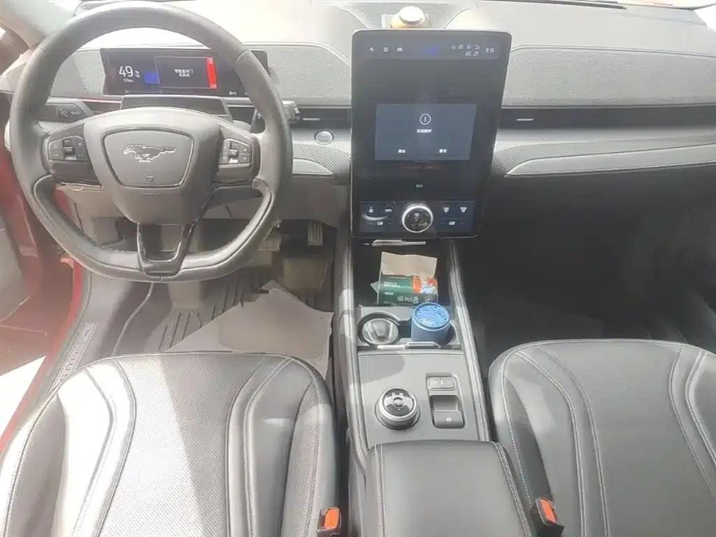 Ford e31 2021 Model X Unlimited Rear-Wheel Drive Luxury Edition Long Range — миниатюра 10
