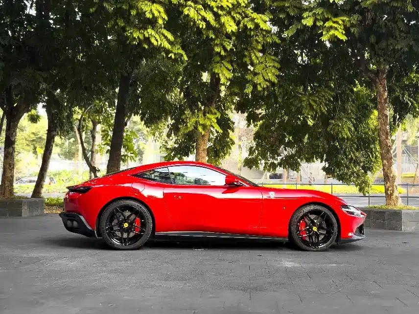 Roma 2020 3.9T V8 — миниатюра 8