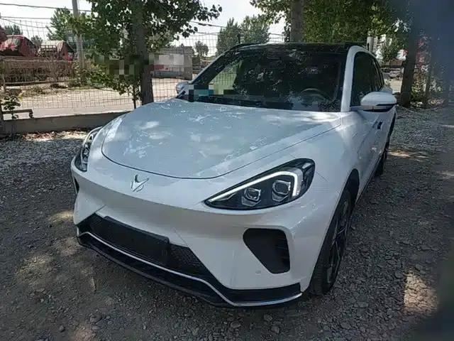 Jihu Alphard T 2021 653S 160kW