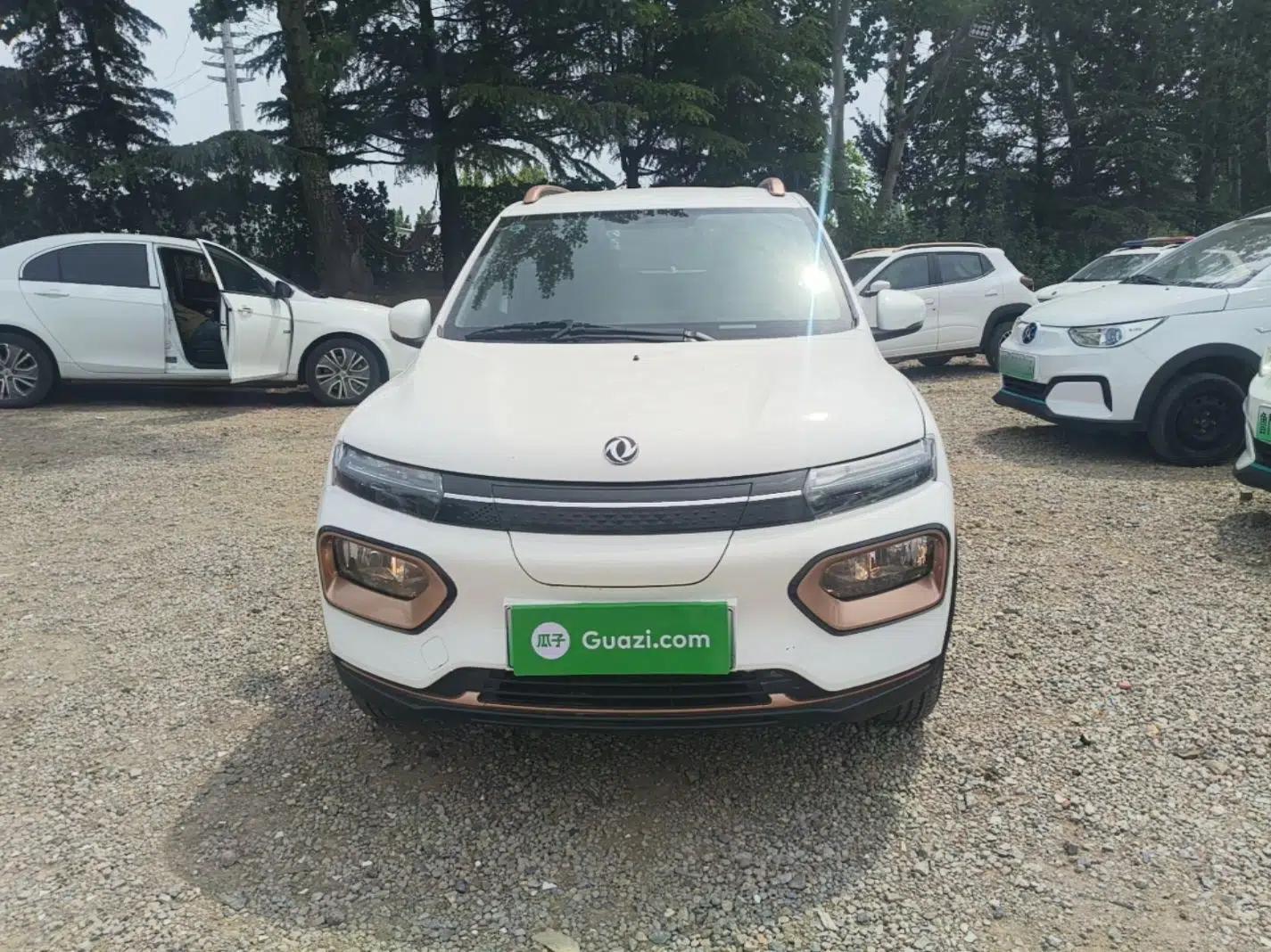 Dongfeng NAMMI BOX 2022 Revised Light Wind Edition 201 km Standard Version — миниатюра 2