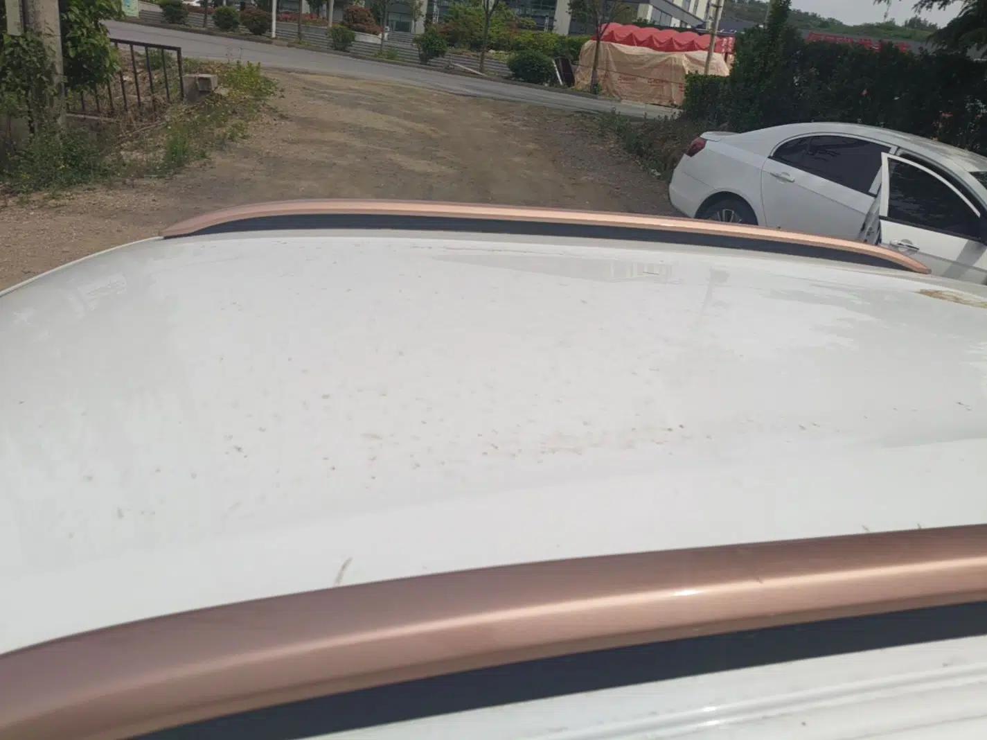 Dongfeng NAMMI BOX 2022 Revised Light Wind Edition 201 km Standard Version — миниатюра 11