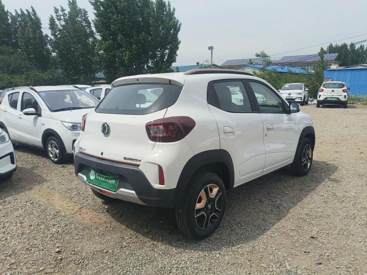 Dongfeng NAMMI BOX 2022 Revised Light Wind Edition 201 km Standard Version — миниатюра 6