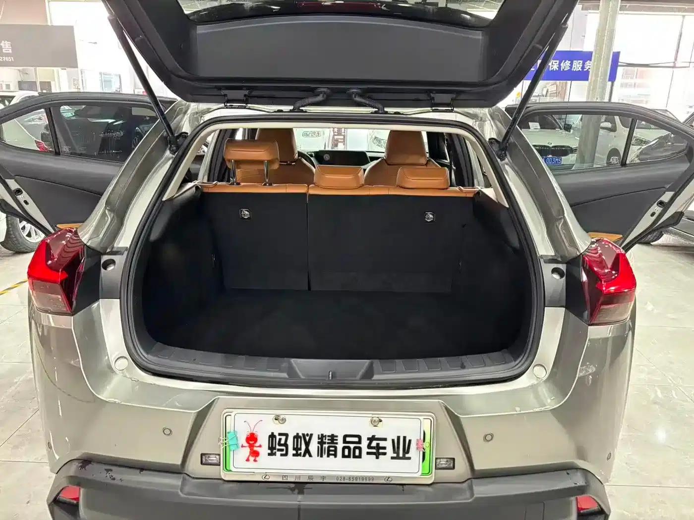 Lexus UX PHEV 2020 300e Pure Enjoyment Edition — миниатюра 14