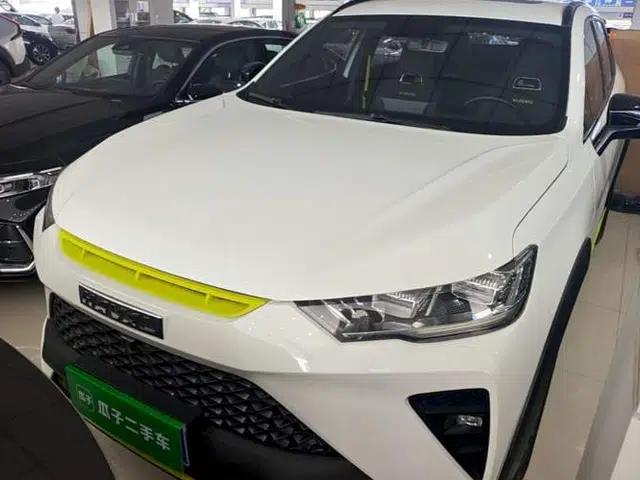 Haval H6S 2022 2.0T Two-Wheel Drive JoyRun Version
