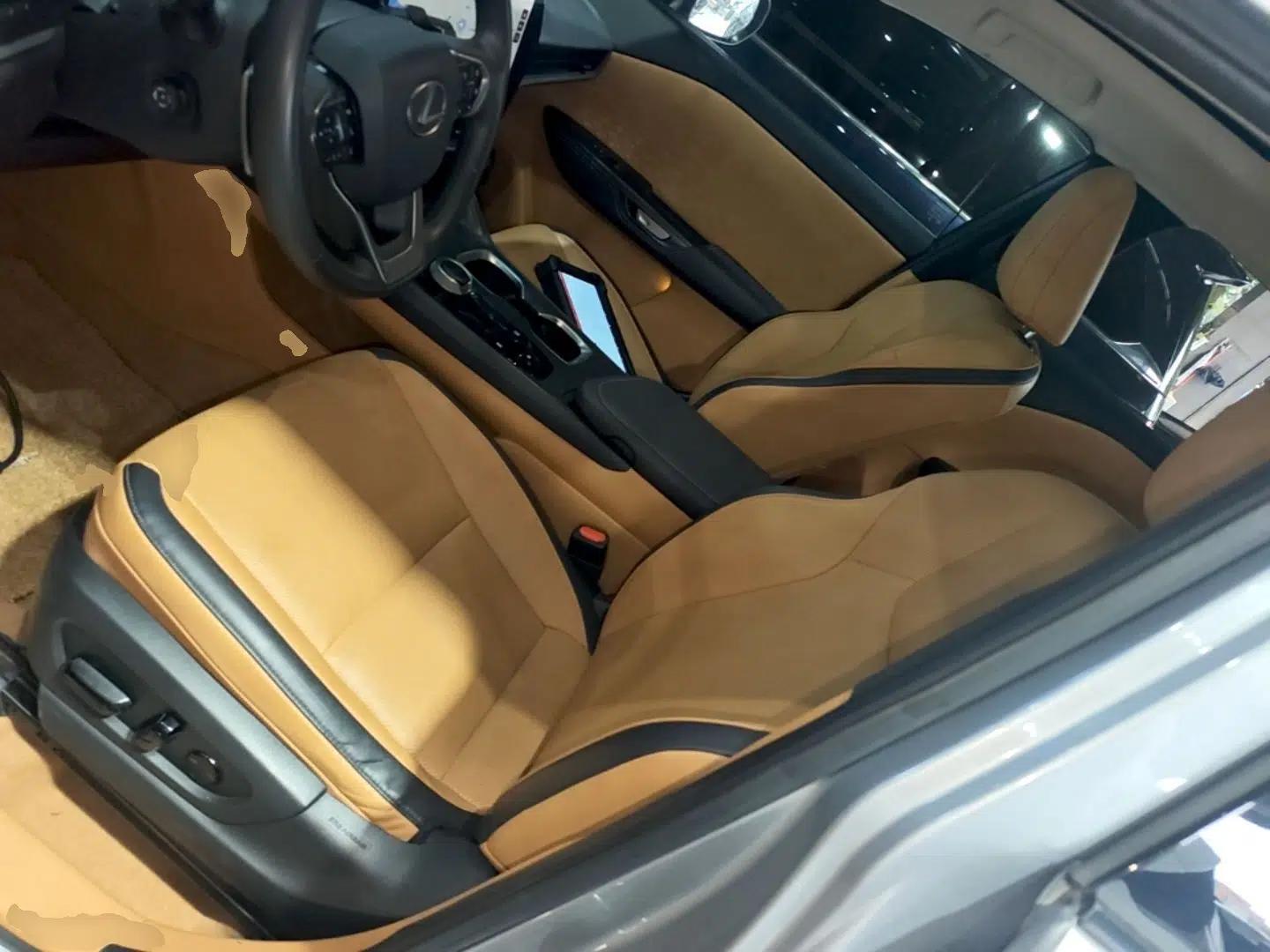 Lexus RZ 2023 450e All-Wheel Drive Luxury Edition — миниатюра 18