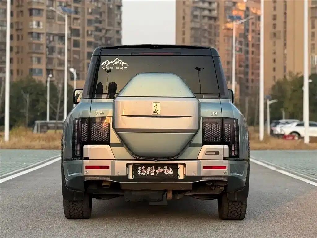 Looking up at the 2023 U8 Luxury Edition — миниатюра 8