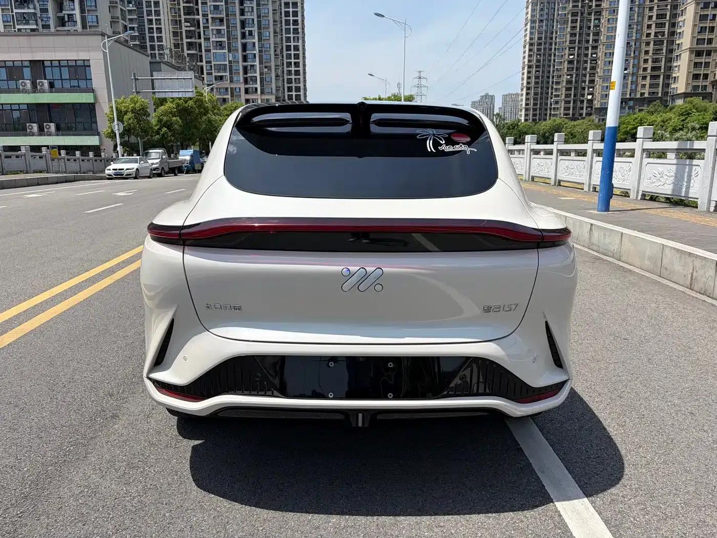 2023 Smart LS7 90kWh Elite Rear-Wheel Drive Edition — миниатюра 14