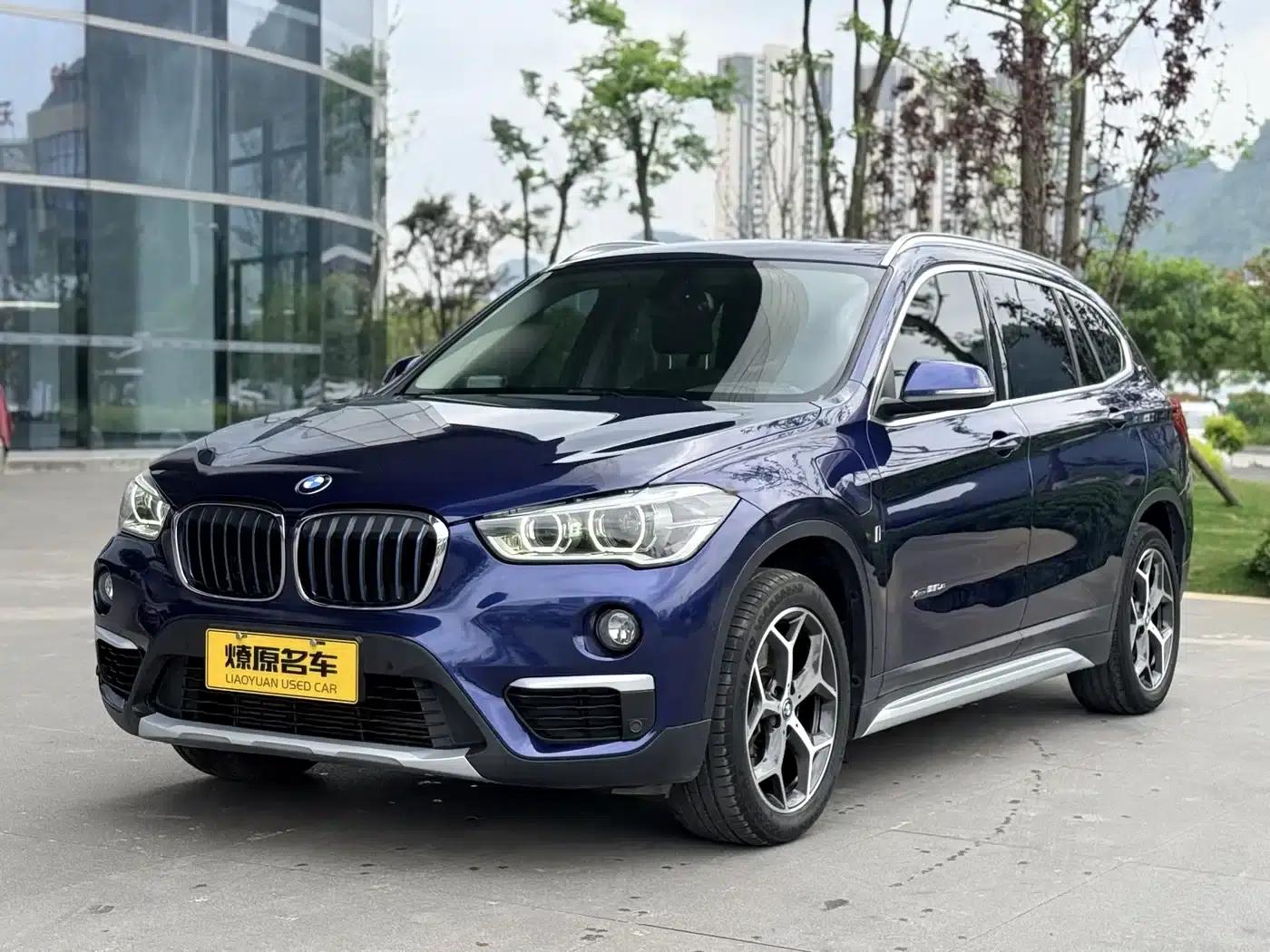 BMW X1 PHEV 2018 xDrive25Le Luxury — миниатюра 1