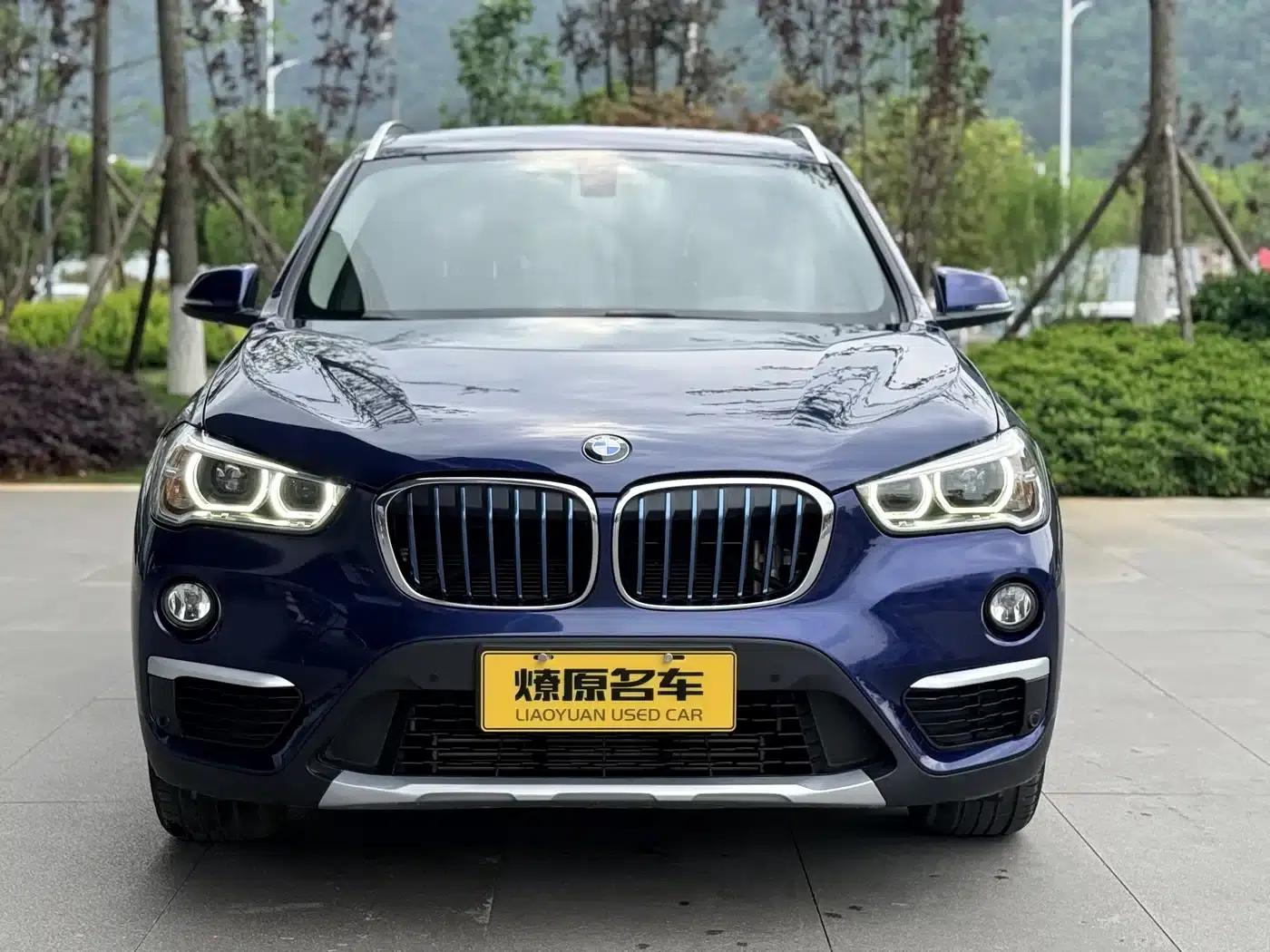 BMW X1 PHEV 2018 xDrive25Le Luxury — миниатюра 2